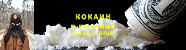 индика Лихославль
