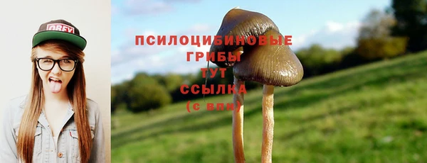 марки lsd Лиски