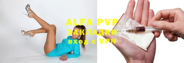 индика Лихославль