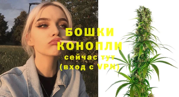 индика Лихославль