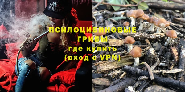 индика Лихославль
