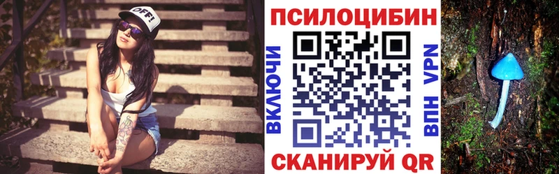Псилоцибиновые грибы Psilocybine cubensis Называевск